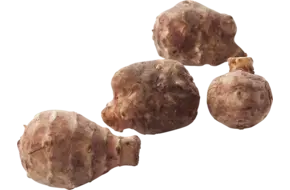 Topinamboer - aardperen verpakt 1kg