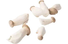 King oyster verpakt 500gr