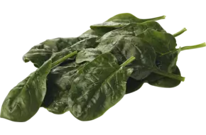 Spinazie verpakt 1kg