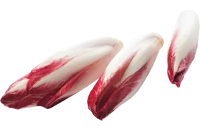 Rood witlof verpakt 500gr