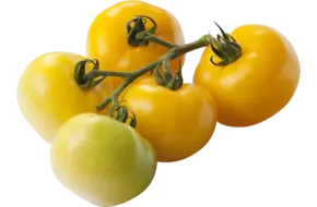 Tomaten geel verpakt 1kg