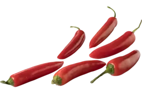Jalapeno peper rood