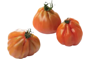 Coeur de boeuf tomaat verpakt 500gr