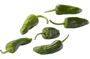 Pimiento de padron pepers verpakt 250gr
