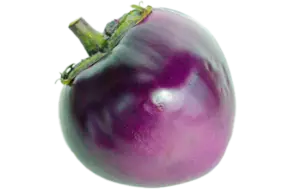 Aubergine palada (purpera)