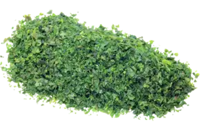 Zeeslavlokken 20gr