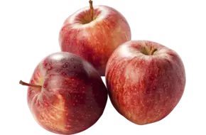 Gala appels verpakt 6st
