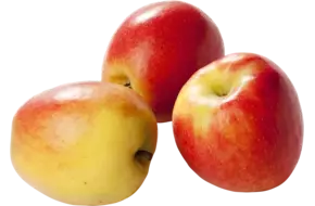 Jazz appels verpakt 6st