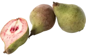Karmozijn peren