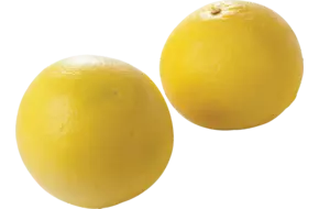 Grapefruit wit