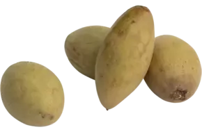 Sapodilla doos 2kg