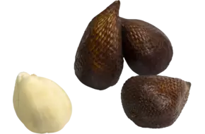 Salak