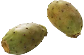 Cactus vijgen