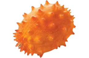 Kiwano