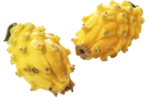 Pitahaya geel