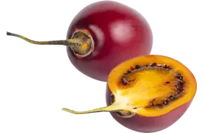 Tamarillo