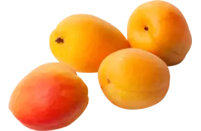 Abrikozen