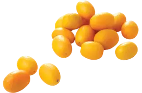 Kumquats verpakt 250gr