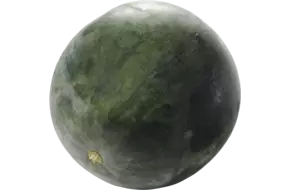 Watermeloen seedless