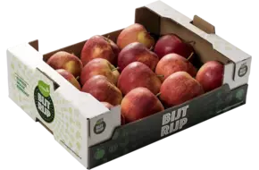 BijtRijp oerappels (Jonagold)