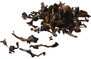 Trompette de la mort doos 1kg