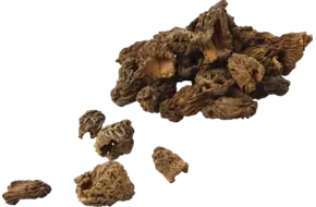 Morilles gedroogd pot 400gr