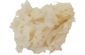 Sparassis doos 1kg