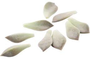 Maji leaves