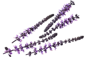 Zallotti blossom crade 8 pieces