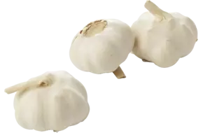 Knoflook per 3 verpakt