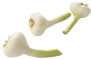 Knoflook nat (vers) verpakt 1kg