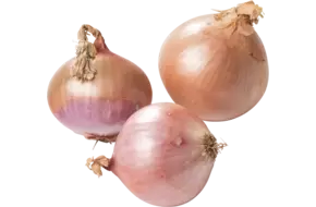 Uien Rose Roscoff
