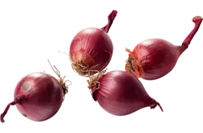 Zilveruien rood verpakt 500gr