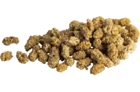 Moerbeibessen 350gr