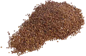 Quinoa rood BIO 700gr