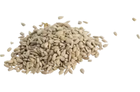 Zonnebloempitten 1kg