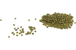 Mungbonen 1500 gram
