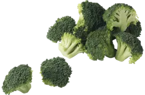 Broccoli roosjes 15-30mm 2,5kg