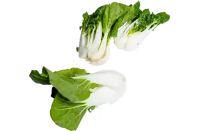 Shanghai paksoi gehalveerd bulk