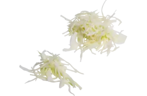 Witte kool regeneratief 3mm zak 1kg