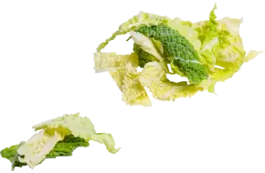 Groene kool 20mm bulk