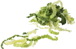 Groene kool 1x gesneden bulk