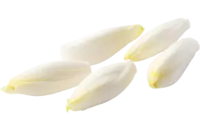 Witlof kort heel schoon zak 1kg stuk