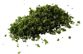 Peterselie gestript gesneden 250gr
