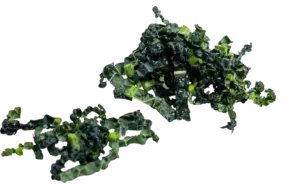 Cavolo nero 10mm bulk