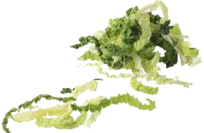 Groene kool 2x gesneden zak 2,5kg per