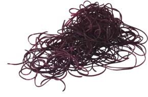 Winterpeen zwart spaghetti bak 400gr