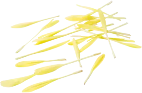 Popcorn Shoots 30gr.
