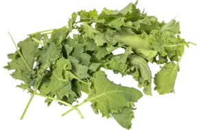 Baby green kale 125gr
