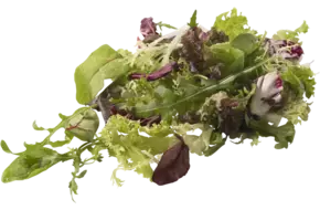 Slamix Mesclun 1kg